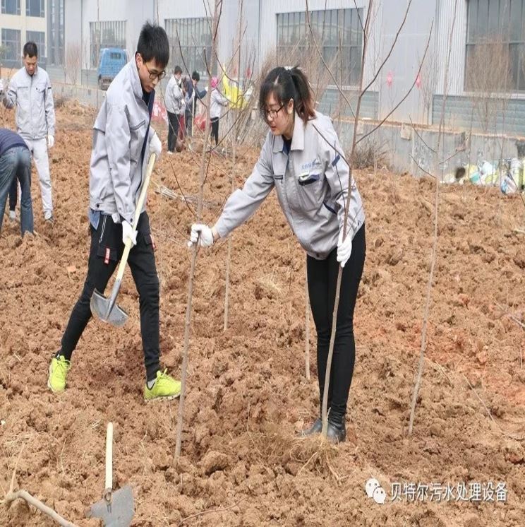 貝特環保開展“積極參加義務植樹，建設美麗貝特環保”活動